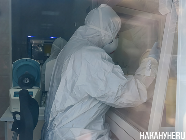 Лаборатория, где проводится проверка на коронавирус в Екатеринбурге(2020)|Фото: Накануне.RU