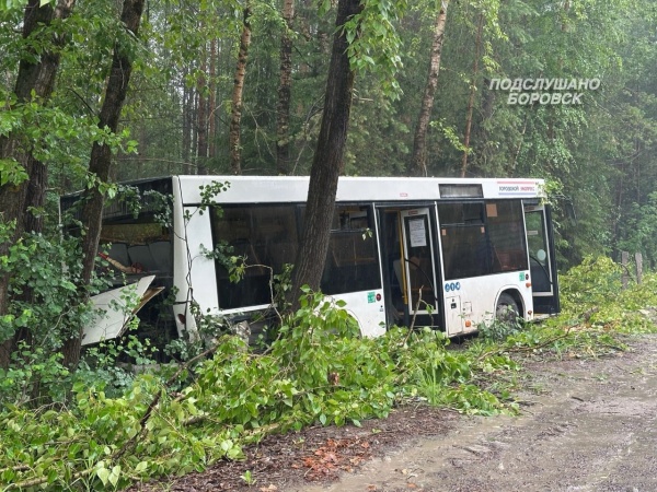 В Пермском крае автобус съехал в кювет(2026)|Фото: ВК / Подслушано Боровск Соликамск Культурный / vk.com/borovsk59