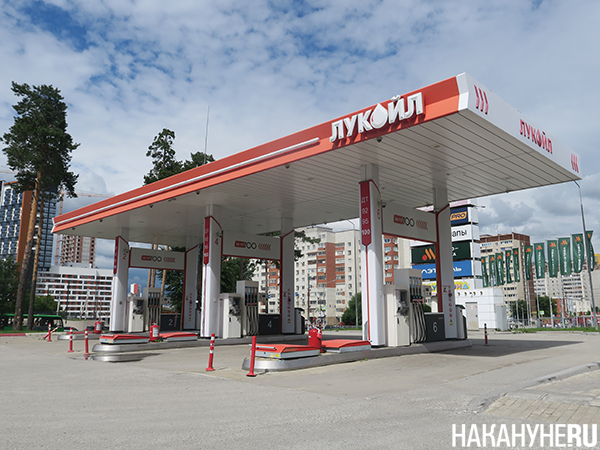 ��� "������"(2026)|����: ��������.RU