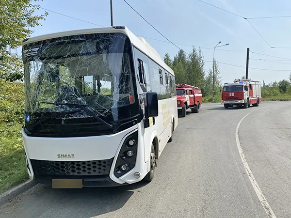 ДТП с рейсовым автобусом на ул. Березовая, 1 в Нижнем Тагиле(2026)|Фото: ГУ МЧС России по Свердловской области