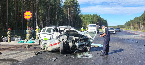 ДТП с пятью погибшими в Белоярском районе(2026)|Фото: Управле­ние Госавтоинспекции ГУ МВД России по Св­ердловской области