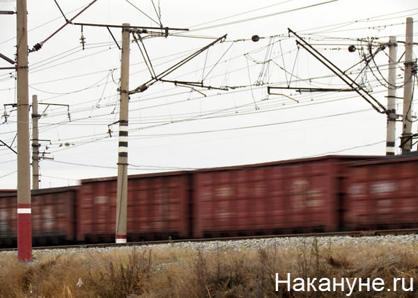 железная дорога путь состав вагон(2011)|Фото: Накануне.ru