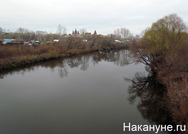 далматово | Фото: Накануне.ru