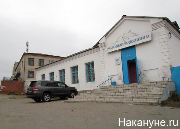 далматово | Фото: Накануне.ru