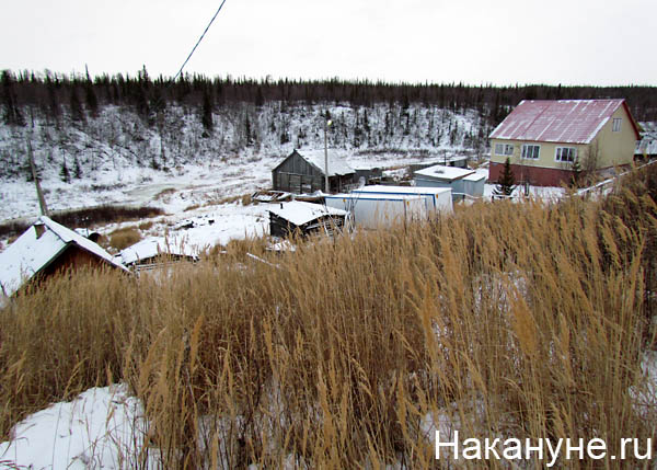 горнокнязевск | Фото: Накануне.ru