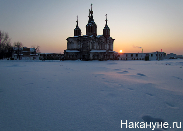 далматово | Фото: Накануне.ru