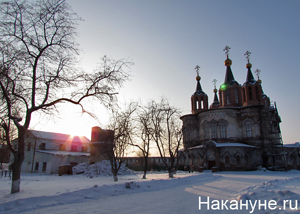 далматово | Фото: Накануне.ru