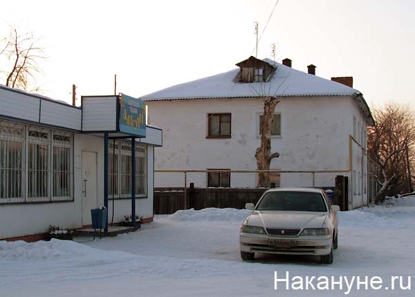 далматово | Фото: Накануне.ru