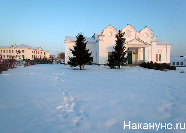 далматово | Фото: Накануне.ru