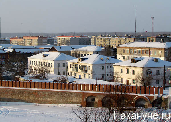 далматово | Фото: Накануне.ru