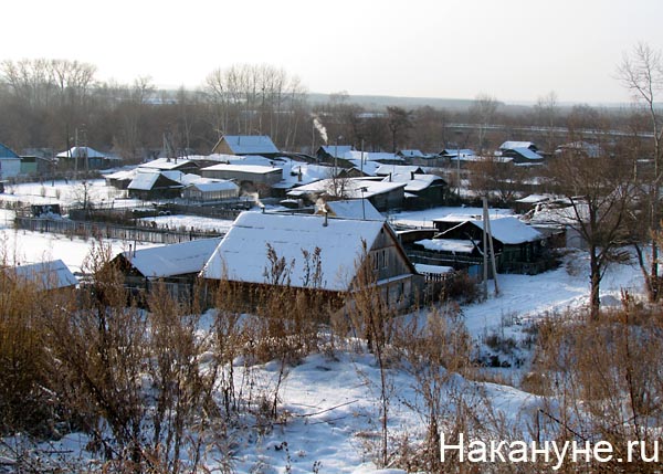 далматово | Фото: Накануне.ru