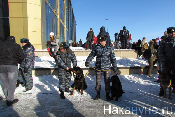 полиция шествие екатеринбург плотинка 04.02.2012 | Фото: Накануне.RU
