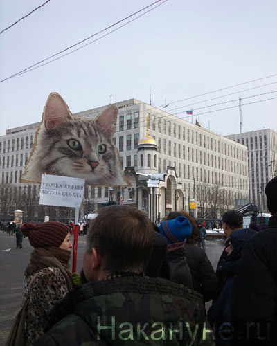 митинг на болотной, 4.02.2012 | Фото: Накануне.RU