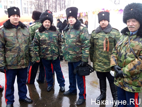 митинг лужники казаки|Фото: Накануне.RU