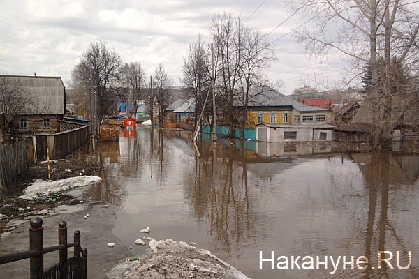 половодье паводок наводнение(2012)|Фото: Фото: Накануне.RU