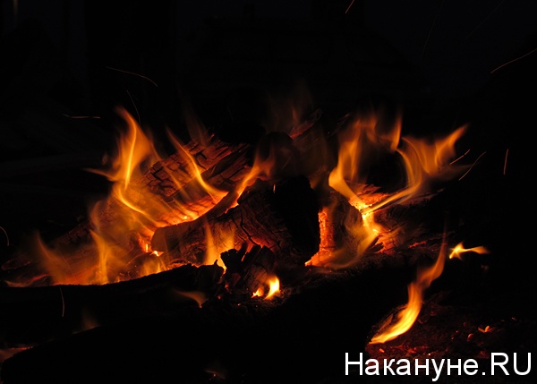 огонь костер пламя дрова(2012)|Фото: Фото: Накануне.ru