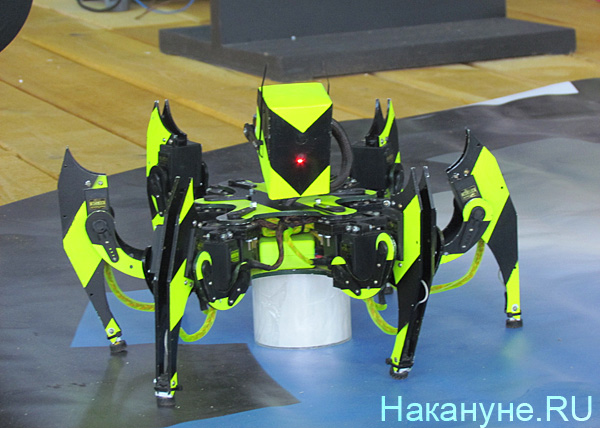 Иннопром 2012 мастерская иннопрома робот-паук | Фото: Накануне.RU