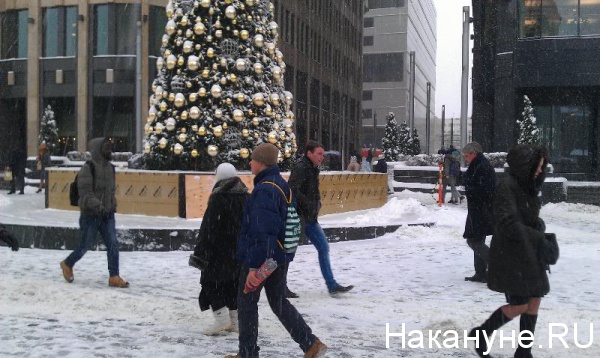 елка, зима, Москва | Фото:Накануне.RU