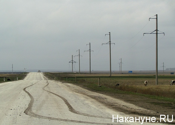 дорога трасса шоссе|Фото: Накануне.ru