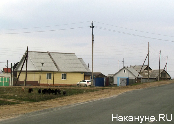 чесма | Фото: Накануне.ru