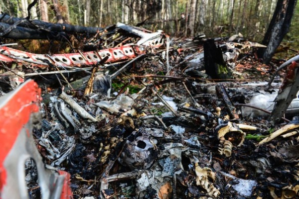 ан-2 крушение обломки останки | Фото: известия