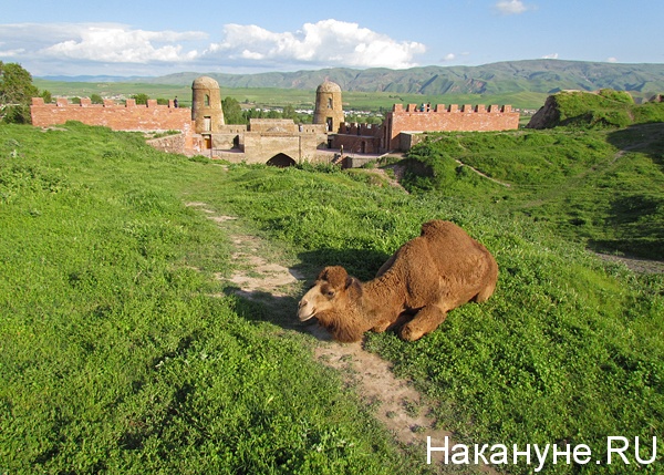 гисарсская крепость | Фото: Накануне.ru