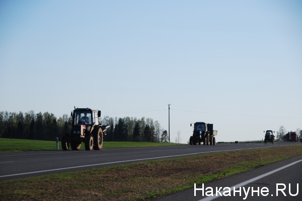 тракторы, Белоруссия|Фото:Накануне.RU