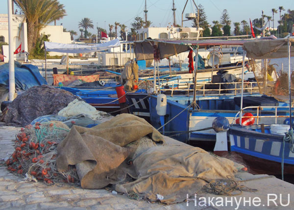 Тунис, порт, Эль Кантауи, рыбацкие лодки | Фото: Накануне.RU