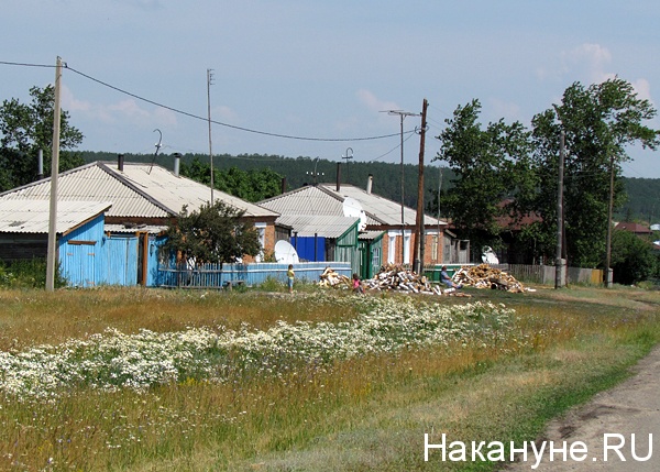 Деревня косулино курганская область