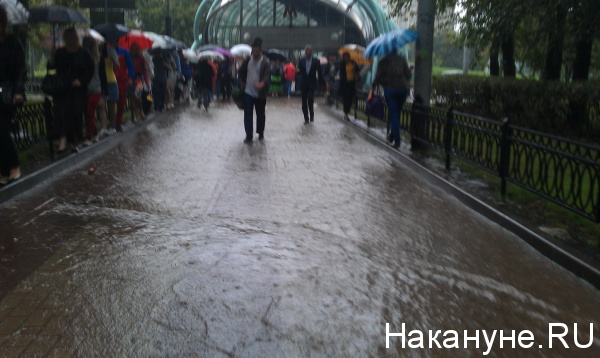 ливень, дождь(2013)|Фото: Фото: Накануне.RU