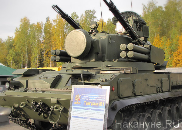 Russia Arms Expo 2013, RAE, тунгуска-м1 | Фото: Накануне.RU