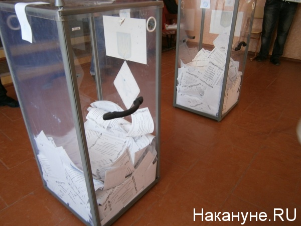референдум, Донецк|Фото:Накануне.RU