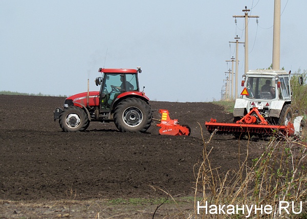 сельское хозяйство(2014)|Фото: Накануне.ru