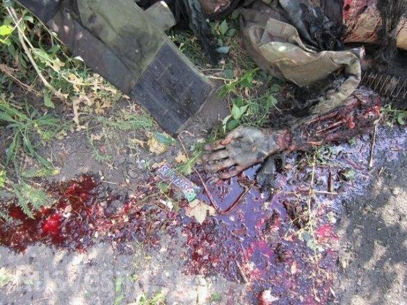 шахтерск, танк, погибшие, днр|Фото:Русская весна