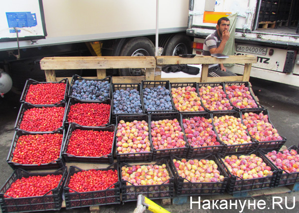 Овощебаза №4, овощи, фрукты|Фото: Накануне.RU