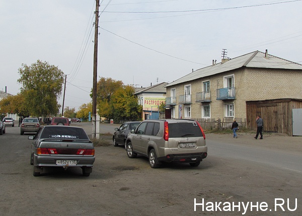 Погода в целинном курганской. Село Целинное Курганская область. Целинное Курганская область Колхозная 36. Целинное Курганская область численность населения. Целинное Курганская область магазины.