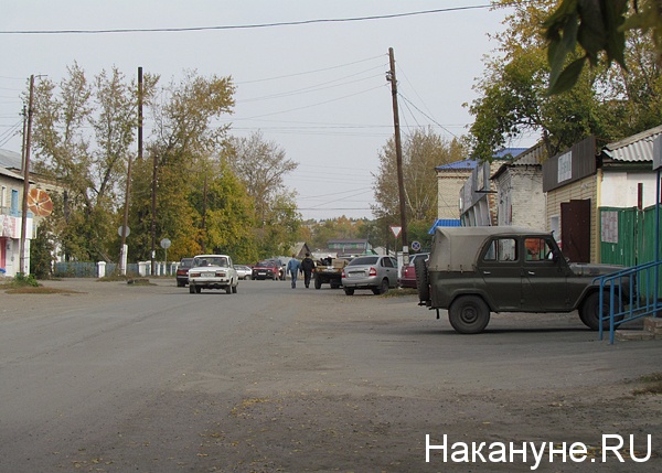 Погода целинное курганская область точная