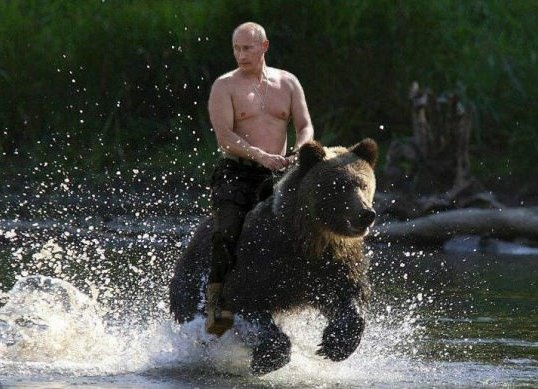 Путин, медведь, коллаж | Фото: