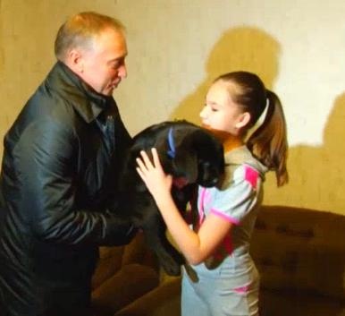 лабрадор собака девочка Тобольск|Фото: