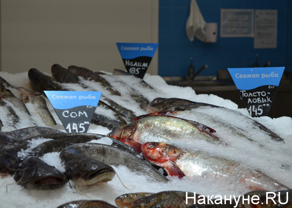 продукты, магазины, цены, рыба|Фото: Накануне.RU