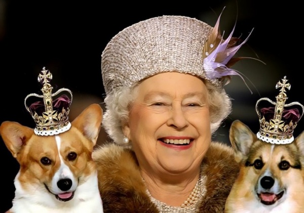 королева елизавета, собаки|Фото: