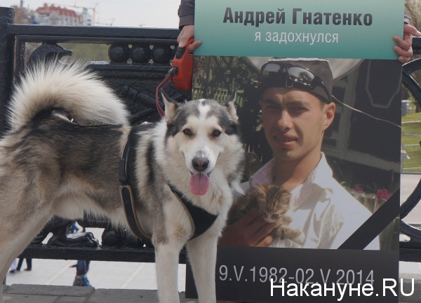 Stopfaschington-3, Одесса, дом профсоюзов, собака | Фото: Накануне.RU