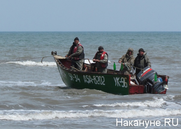 хачмаз каспийское море рыбаки | Фото: Накануне.ru
