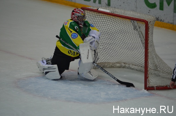 Матч всех звезд, хоккей, спорт|Фото:Накануне.RU