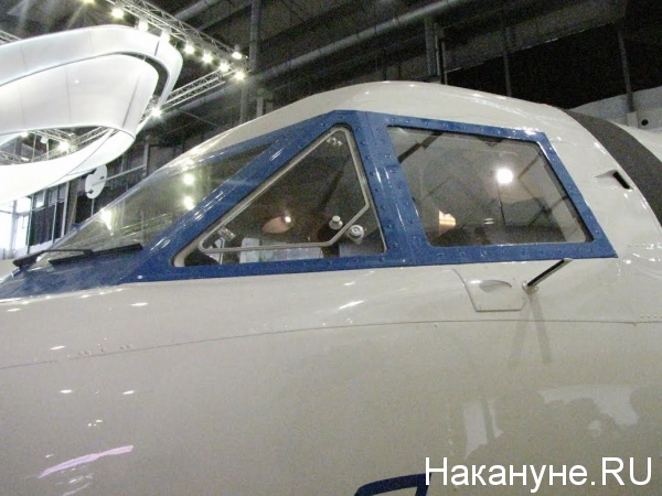 Медведев, Иннопром, самолет|Фото: Накануне.RU