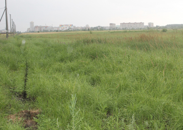 Курган, участки для семей|Фото: onf.ru Курган, участки для семей|Фото: onf.ru