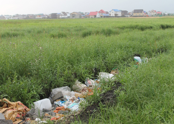 Курган, участки для семей|Фото: onf.ru Курган, участки для семей|Фото: onf.ru