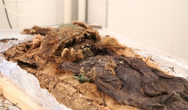 берестяной кокон, Ямал, мумия|Фото: правительство.янао.рф
