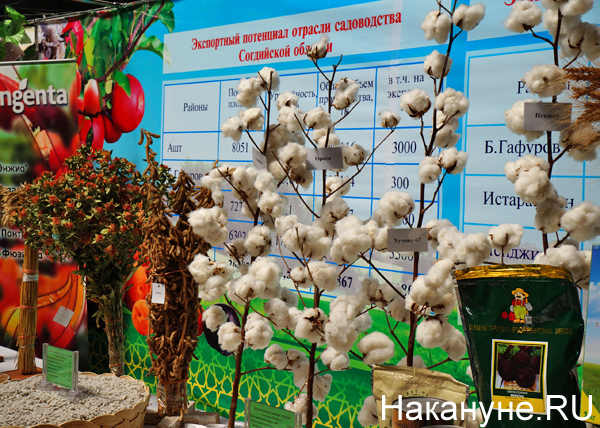 выставка "Сугд-2015", Таджикистан, растения|Фото: Накануне.RU