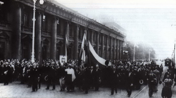 перовая мировая война, демонстрация, патриотизм|Фото: fontanka.ru